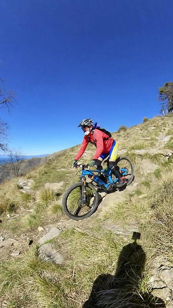 WhatsApp Image 2021-03-14 at 17.59.55.jpeg